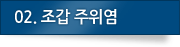 02. 조갑 주위염