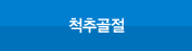 척추골절