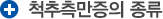 척추 측만증