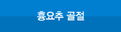 흉요추골절