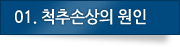 01.척추손상의 원인
